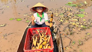 How to stew lotus root with chicken bones #V6