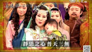 節目廣告菩提禪心唐美雲賀新年20160125 1