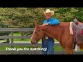 natural horsemanship versus traditional horse training episode 162 herm gailey