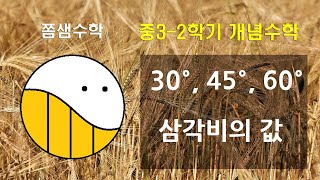 (3) 30도 45도 60도 / 삼각비의 값 [삼각비] 중3-2학기 개념수학