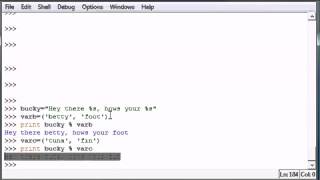 Python Programming Tutorial 17 Strings n Stuff
