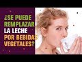 Certezas lácteas | ¿Se puede remplazar la leche por bebidas vegetales?