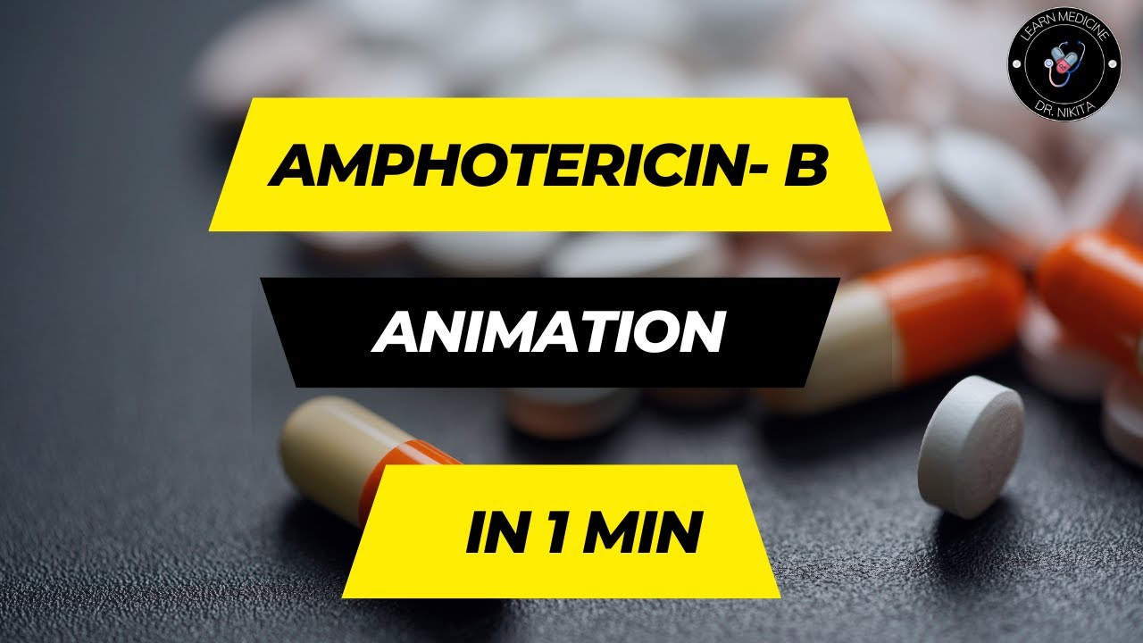 Amphotericin B Mechanism Of Action Animation | DR. Nikita ...