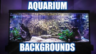 Aquarium Backgrounds - Everything You Need to Know