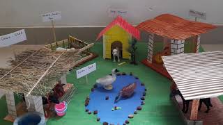 Animal Homes School Project # Farm House Project # Domestic animal shelter model #Farm Animals Homes