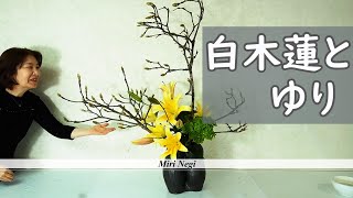 【レストランの花】_白木蓮と黄色のユリ_Sogetsu Ikebana