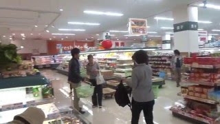 【熊本地震の記録】前震と余震の映像集 Foreshock \u0026 Aftershocks of Kumamoto Earthquake