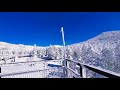 ピタラス 蓼科 スノーリゾート 標高2237 🏔 絶景 ＋ ピーカン＋ スノーモンスター❄の日