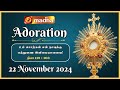 🔴 LIVE 22 November2024 Adoration 11:00 AM | Madha TV