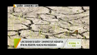 Regional TV News: Ilang Sakahan sa Sagñay, Camarines Sur, Nagkabitak-bitak na