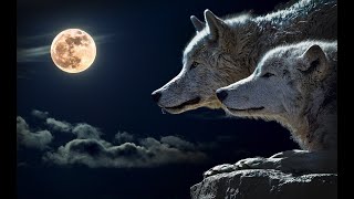 A mixture of wolves howling-wind blowing-Celtic/Fantasy Cinematic Music/snow falling
