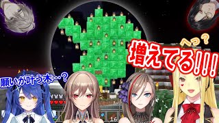 魔改造された『ランタンのなる木』を見た各ライバーの反応まとめ【にじさんじ/マイクラにじ鯖/フレン/ルイス/天宮こころ/来栖夏芽/切り抜き】