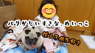 【パグ家内】 姪っ子ちゃんとパグ 【保護犬】