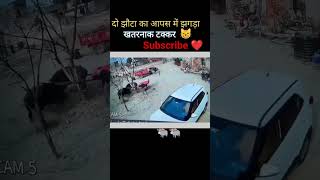 दो झौटा का आपस में झगड़ा #newjhota #viral video subscribe please share 🙏💥👍