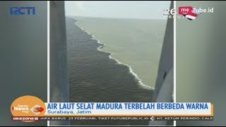 Heboh! Fenomena Laut di Selat Madura Terbelah Jadi Dua Warna - SIP 21/02