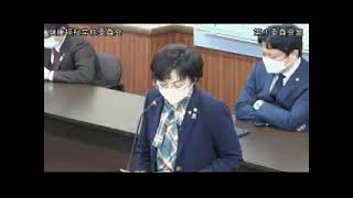 2023年3月14日 石川たえ 意見開陳 大阪府議会健康福祉常任委員会