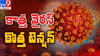 New COVID Strain : కొత్త వైరస్ .. కొత్త టెన్షన్ - TV9