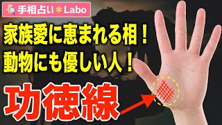 【手相占い】功徳線とは？【サクッと解説】