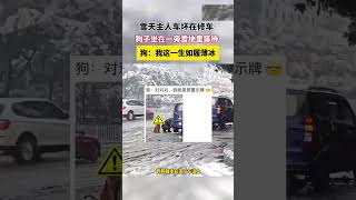 雪天主人車壞在修車，狗子坐在一旁雪地裡等待 The owner's car broke down on a snowy day and he was repairing it