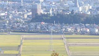 グリーンピア岩沼から見た、ひこばえが生えた田んぼとその向こうを走る貨物列車