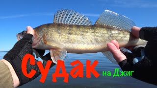 Ловля СУДАКА с лодки на джиг. Река Волга.Fishing for zander on the Volga river.