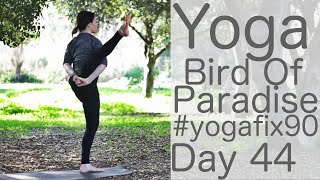 30 Minute Yoga Flow Vinyasa (to Bird of Paradise) Day 44 Yoga Fix 90 | Fightmaster Yoga Videos