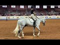 nutrena ride the pattern clinic hunt seat equitation