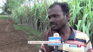 Sivagangai farmers upset over  poor sugarcane  harvest