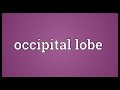 Occipital lobe Meaning