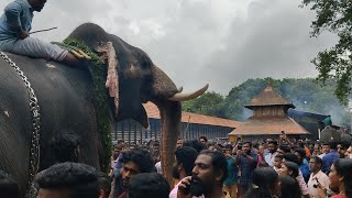 Vadakkumnathan Temple Aanayoottu 2023 |വടക്കുംനാഥനിലെ ആനയൂട്ടും ഗണപതി ഹോമവും| Indian Traditions |