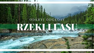 Odgłosy rzeki i lasu, które uśpią każdego - Dźwięki natury idealne do odpoczynku.