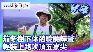 茄冬樹下休憩聆聽蟬聲 輕裝上路攻頂五寮尖｜新北市三峽區 麥覺明【@ctvmit881集】