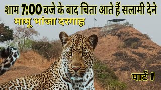 Mamu Bhanja Thane Dargah। Is dargah pe aate hai leopard salami dene।Mamu Bhanja Story।sv18।part 1