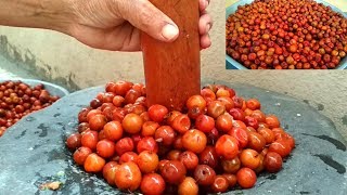 Sweet \u0026 Sour Jujube Fruits Recipe || Making Traditional Indian Berries Pickle || With English Sub