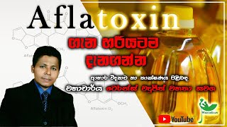 පිළිකාකාරක Aflatoxin ගැන හරියටම දැනගන්න | food scientists view on Contaminated coconut oil