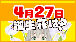 【花言葉】4月27日の誕生花は？／花白もか