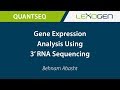 USER TALK: Gene Expression Analysis Using 3’ RNA Sequencing