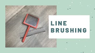 Line Brushing Tutorial | Learn to Groom
