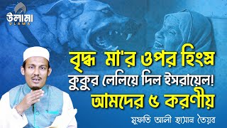 ফিলিস্তিনী বৃদ্ধা মা'র ওপর হিংস্র কুকুর লেলিয়ে দিল ইসরায়েল! আমাদের ৫ করণীয়┇উস্তায আলী হাসান তৈয়ব