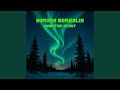 Aurora Borealis