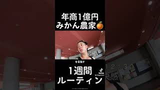 年商1億円みかん農家🍊を目指す男