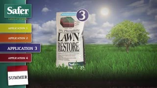 How to Grow an Organic Lawn