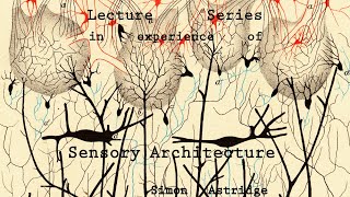 IN EXPERIENCE OF SENSORY ARCHITECTURE - Simon Astridge