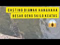 casting biawak besar betul betul besar 5kilo keatas