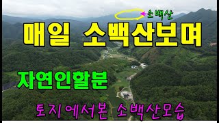 단양 매일 소백산보며자연인할분 834평5000만/단양토지/단양부동산