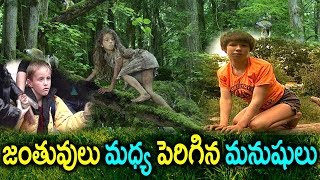 జంతువులు మధ్య పెరిగిన మనుషులు..! | Mystery Of Human Beings Who Grown Between Animals | Sumantv