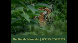 कांडा का नरभक्षी बाघ | The Kanda Maneater | जिम कॉर्बेट की कहानी | Jim Corbett's hunting story