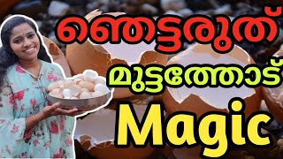 😱മുട്ടത്തോട് മാജിക്‌ കണ്ടല്ലോ🔥| ഇനി ആരും മുട്ടത്തോട് കളയില്ല | egg shell | egg