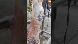 #aqiqa #meat #ehson #food #lamb #qochqor #animals #qoʻy #goat #shortvideo#toshkent#gosht#toshkent