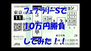 【競馬】泰河の勝負馬券　フェブラリーステークスG1で１０万円勝負をしてみた！編　【実践】３連複・３連単・馬単・馬連勝負